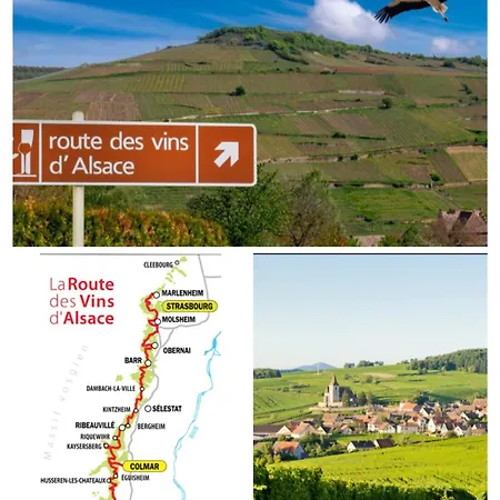 Le Baroque En Duplex * Mulhouse