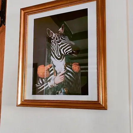 Le Baroque En Duplex * Mulhouse