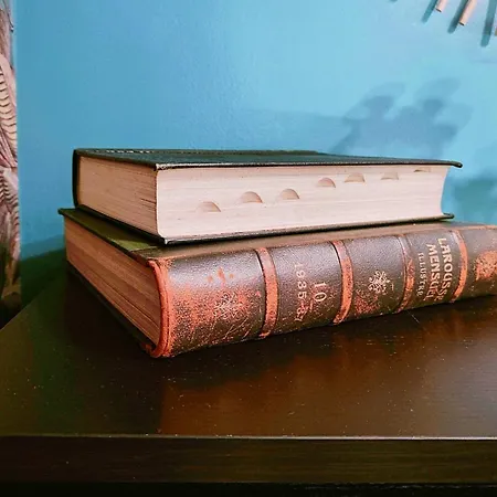 Apartamento Le Baroque En Duplex Mulhouse