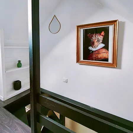 Le Baroque En Duplex Mulhouse