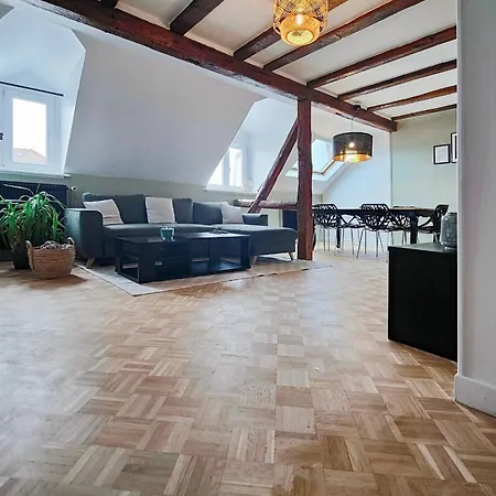Le Baroque En Duplex Apartment Mulhouse