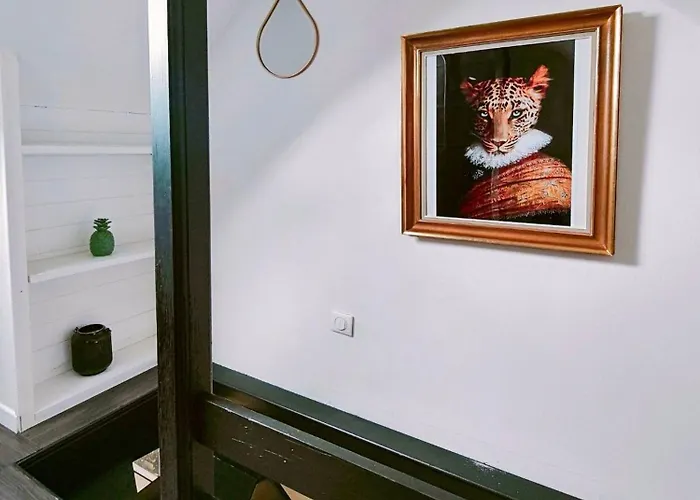 Le Baroque En Duplex Mulhouse